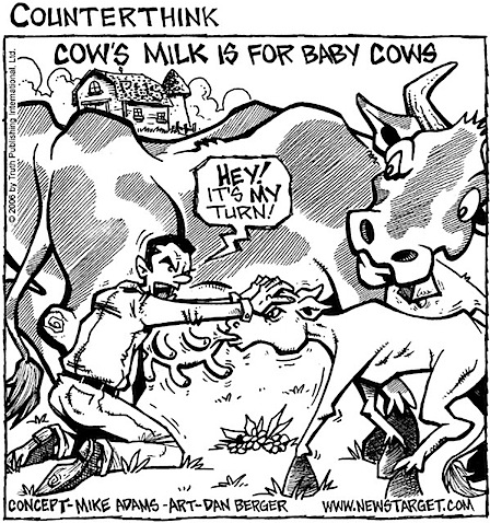 cows_milk_600.jpg
